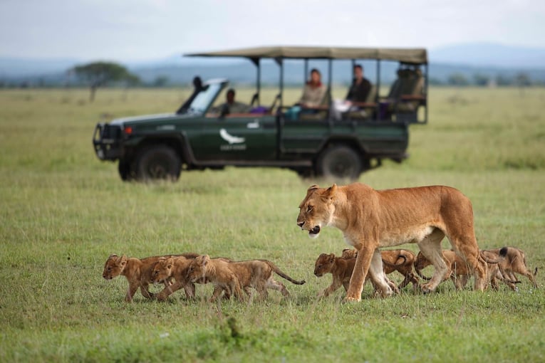 &Beyond Grumeti Serengeti River Lodge Africa-Tanzania-Grumeti-Experience-Game-drive-branded-vehicle-with-lioness-and-cubs