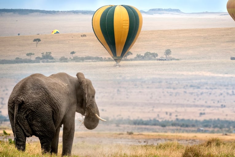 &Beyond Grumeti Serengeti River Lodge Image-24-C-iStock-474984417-RS