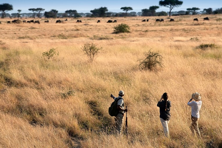 &Beyond Grumeti Serengeti River Lodge Tanzania-Grumeti-Serengeti-River-Lodge-Experiences-guided-nature-walk_16