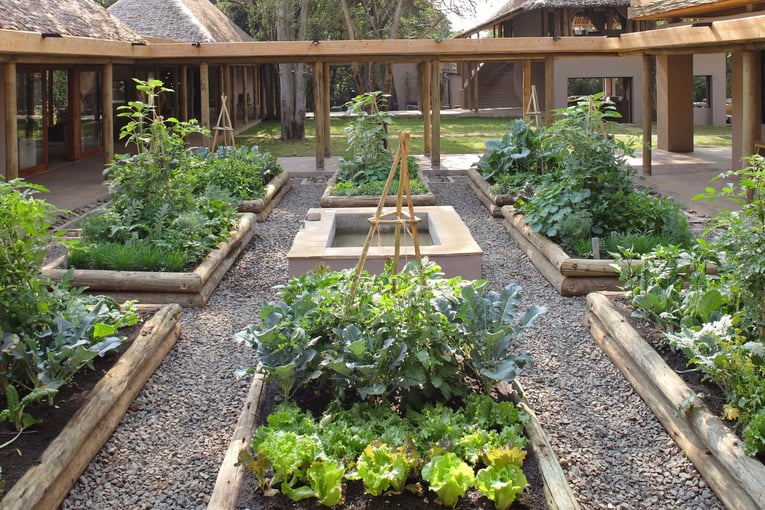 &Beyond Kichwa Tembo Tented Camp kichwa-vegetable-garden