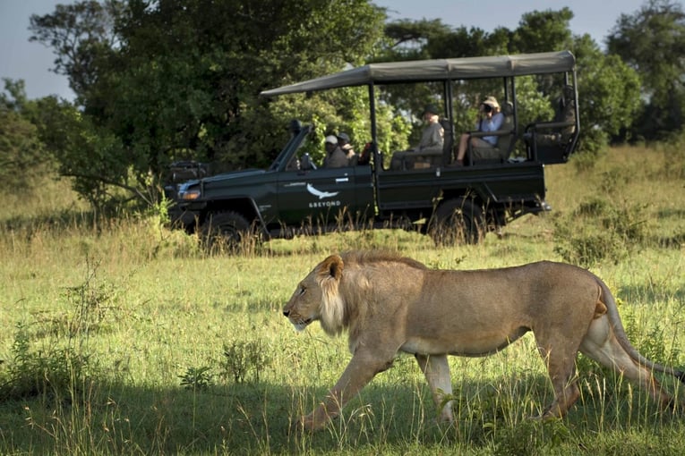 &Beyond Kleins Camp Kleins-camp-serengeti-safari-game-drive