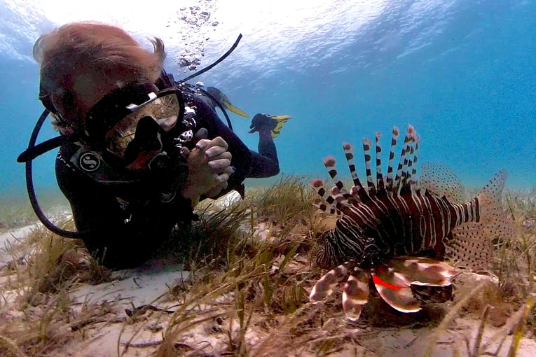 &Beyond Mnemba Island, Tanzanie – Zanzibar | Exclusive Tours Zanzibar-Mnemba-Island-scuba-diving-marinelife-12-1