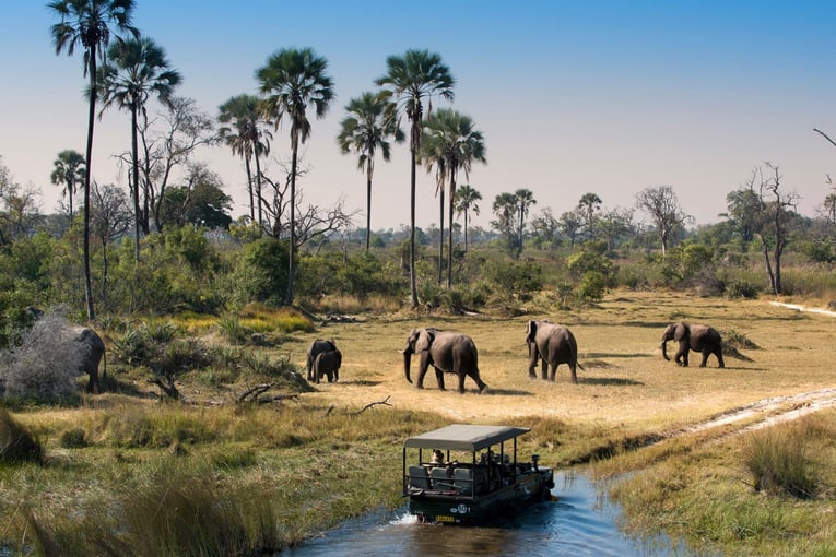 &Beyond Sandibe Okavango Safari Lodge Herd-of-Elephants-walking-while-guests-cross-channel-on-a-Safari-Game-Drive-in-Botswana
