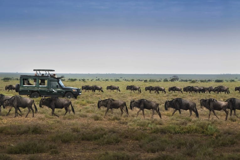 &Beyond Serengeti Under Canvas Serengeti-Under-Canvas-game-drive
