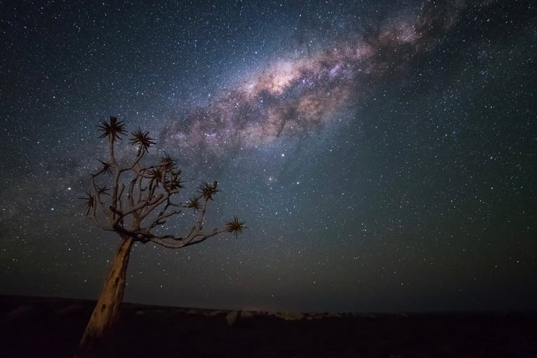 &Beyond Sossusvlei Desert Lodge Image-10-GettyImages-690364698