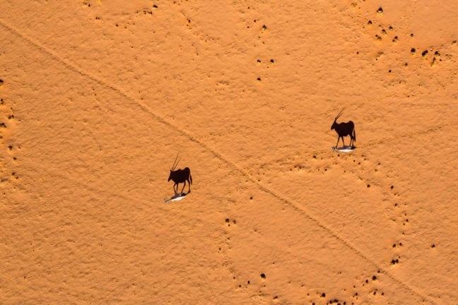 &Beyond Sossusvlei Desert Lodge Scenic-Helicopter-Flight-fairy-circles-and-oryx-andBeyond-Sossusvlei-768x432