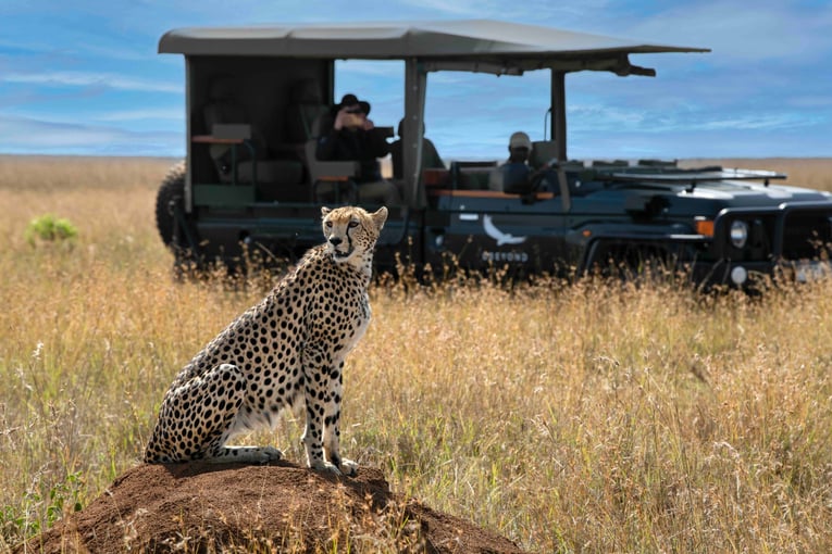 &Beyond Suyian Lodge, Keňa – Laikipie | Exclusive Tours Kenya-Suyian-Conservancy-Game-Drive-Cheetah _15_