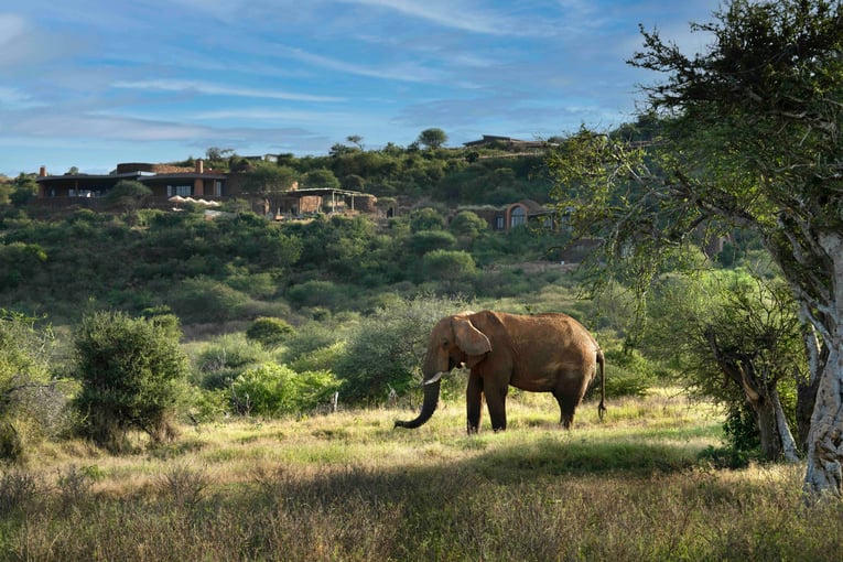 &Beyond Suyian Lodge, Keňa – Laikipie | Exclusive Tours Kenya-Suyian-Lodge-Exterior-Elephant-View _8_