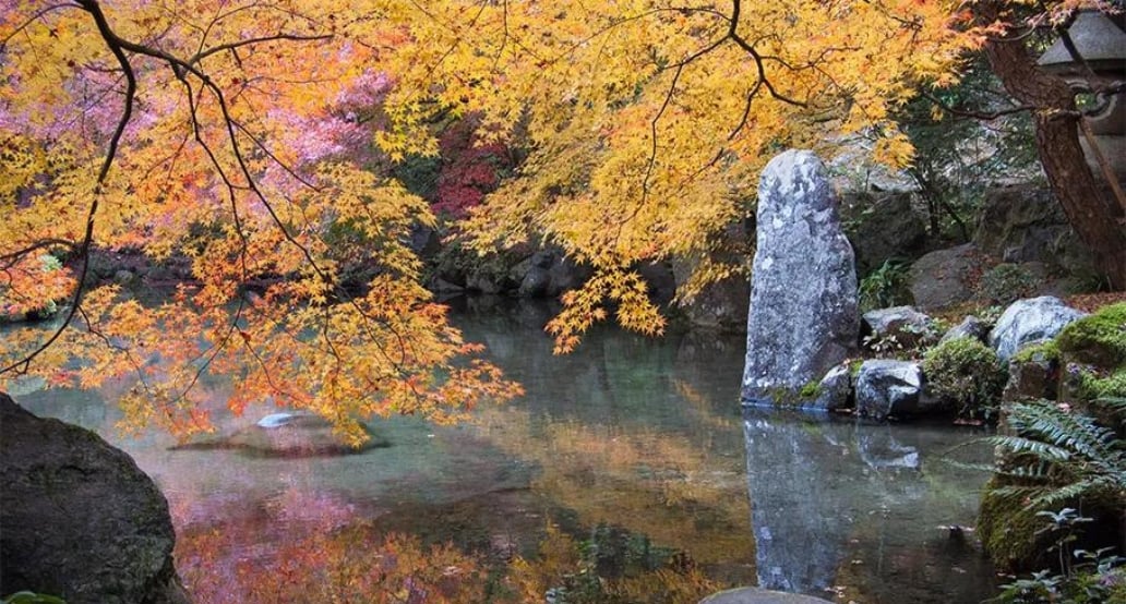 1 14 dní v podzimním Japonsku | Exclusive Tours
