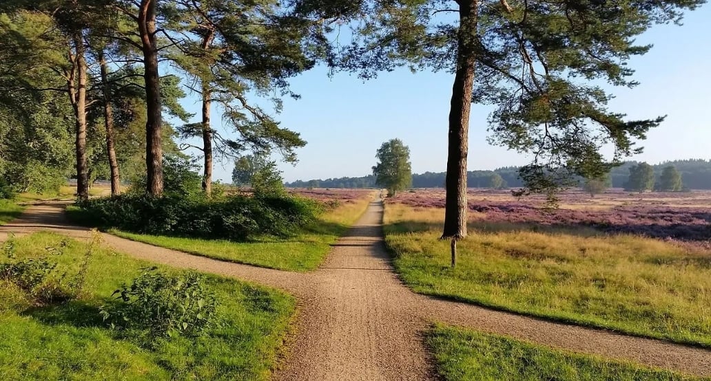 1 Exkluzivní psychedelické zážitky pro náročnou klientelu | Exclusive Tours