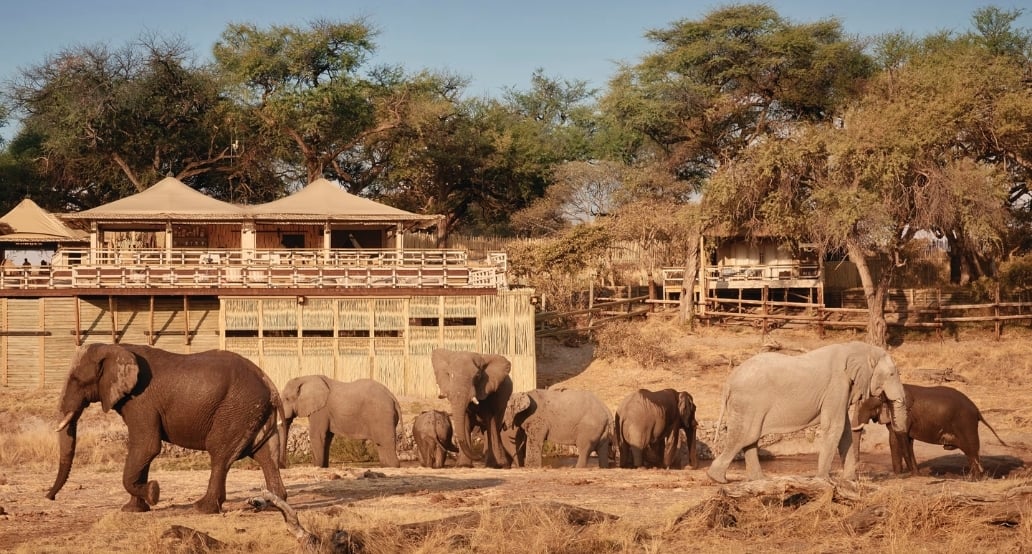 1 Savute Elephant Lodge, A Belmond Safari, Botswana – Chobe National Park | Exclusive Tours