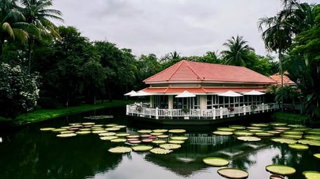 žena a dítě na safari