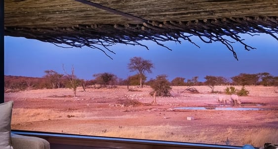 1032x544 Anderssons Camp Ongava, Namibie, Afrika _ Exclusive Tours_krajina, buš