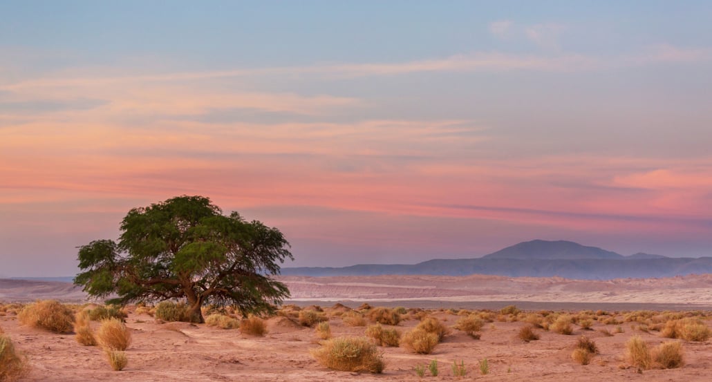 1032x544 Atacama poušť | Exclusive Tours-2