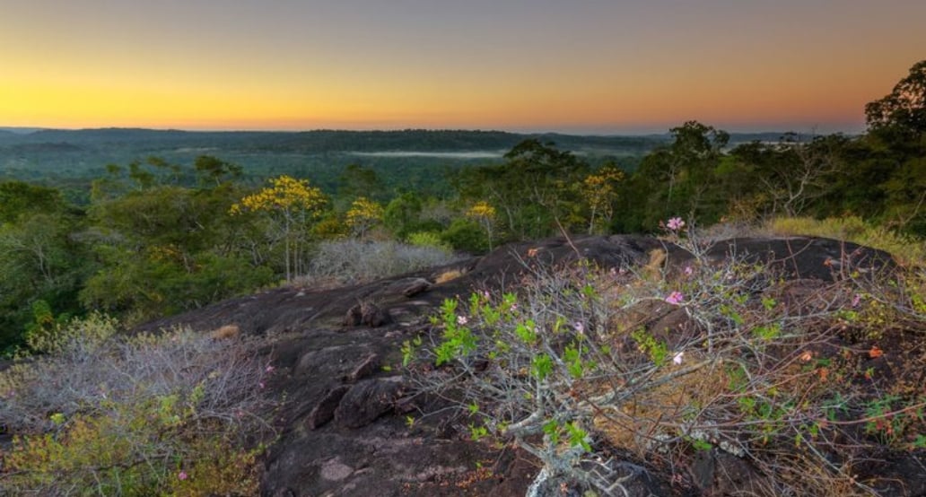 1032x544 Cristalino Lodge| Exclusive Tours