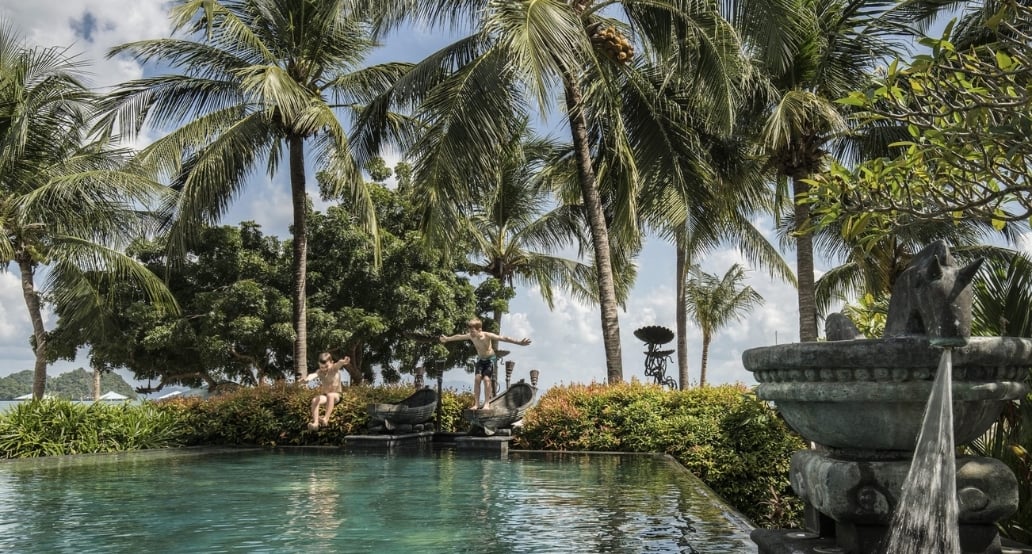 děti, bazén, palmy