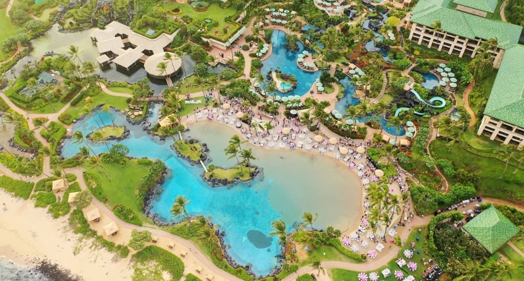 resort, bazény, palmy