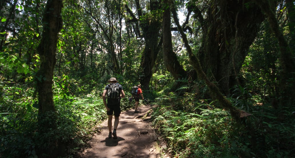 1032x544 Kilimanjaro prales výprava | Exclusive Tours