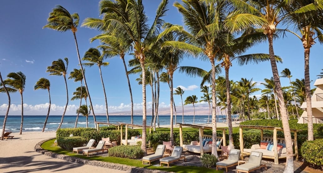 palmy, pláž, lehátka