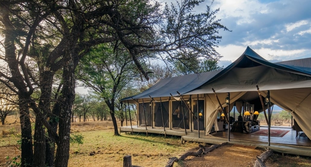 safari camp