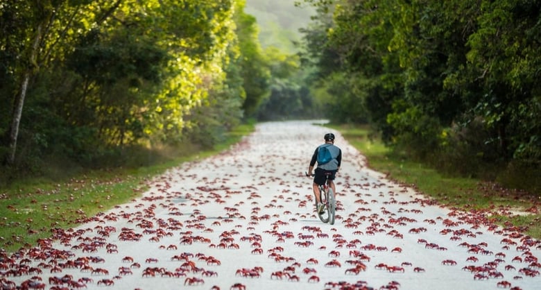 krabi, muž na kole