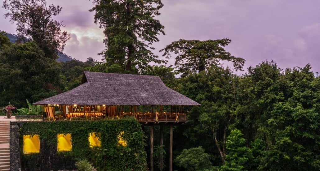 restaurace v džungli