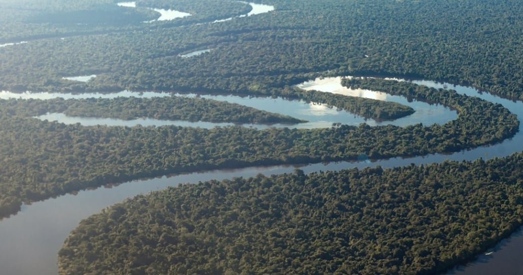 Amazonie