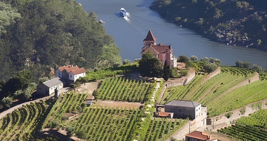kostel, vinice, řeka