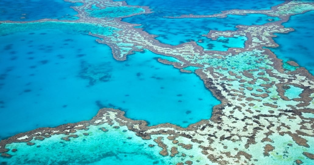 Great Barrier Reef, Australie