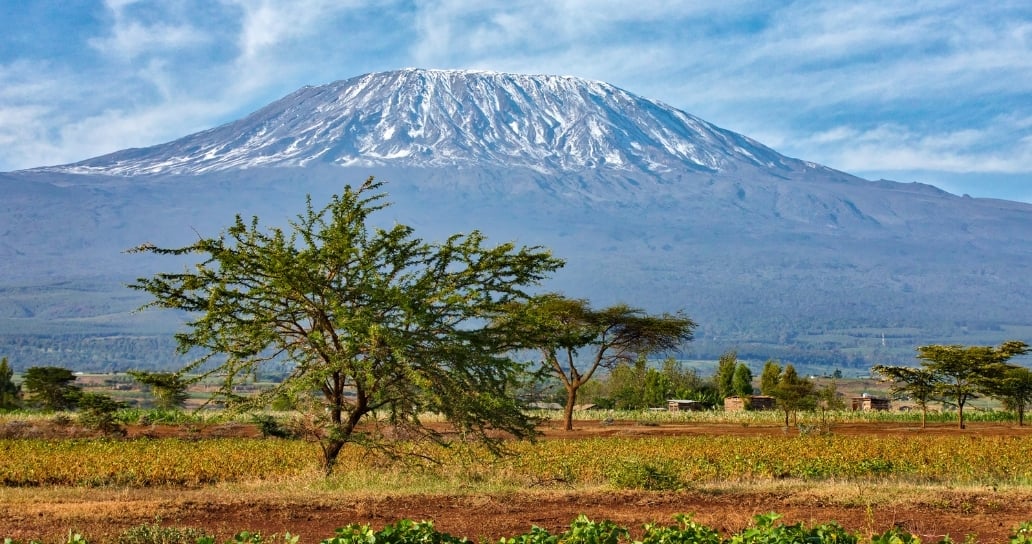 Kilimanjaro