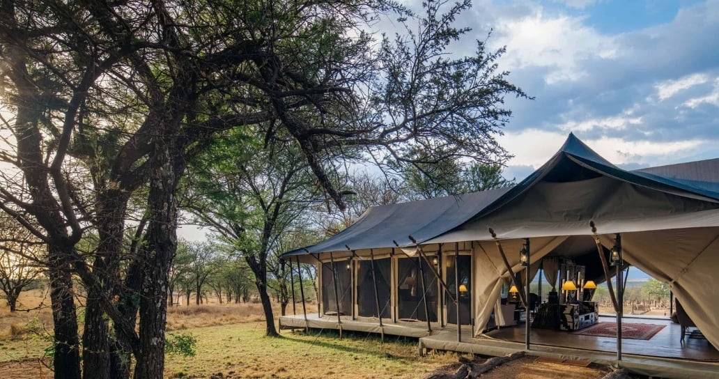 safari camp