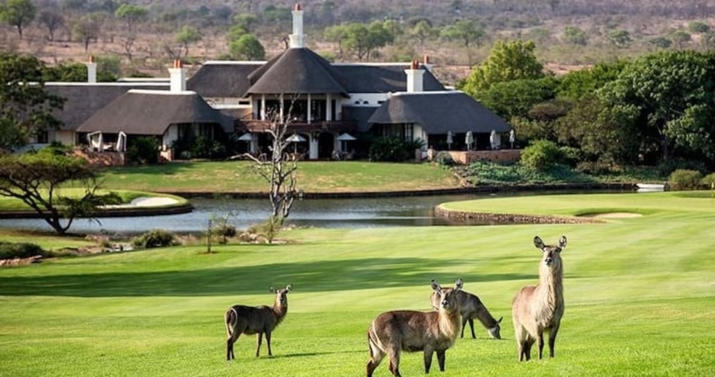 golf, lodge, zvířata