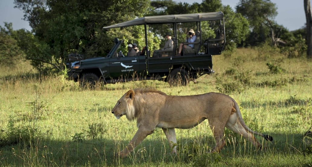 1032x554 &Beyond Kleins Camp Kleins-camp-serengeti-safari-game-drive