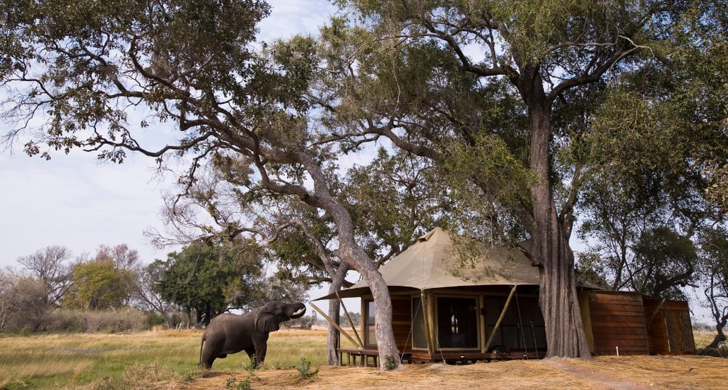 1032x554 &Beyond Xaranna Okavango Delta CampExclusive tours 2