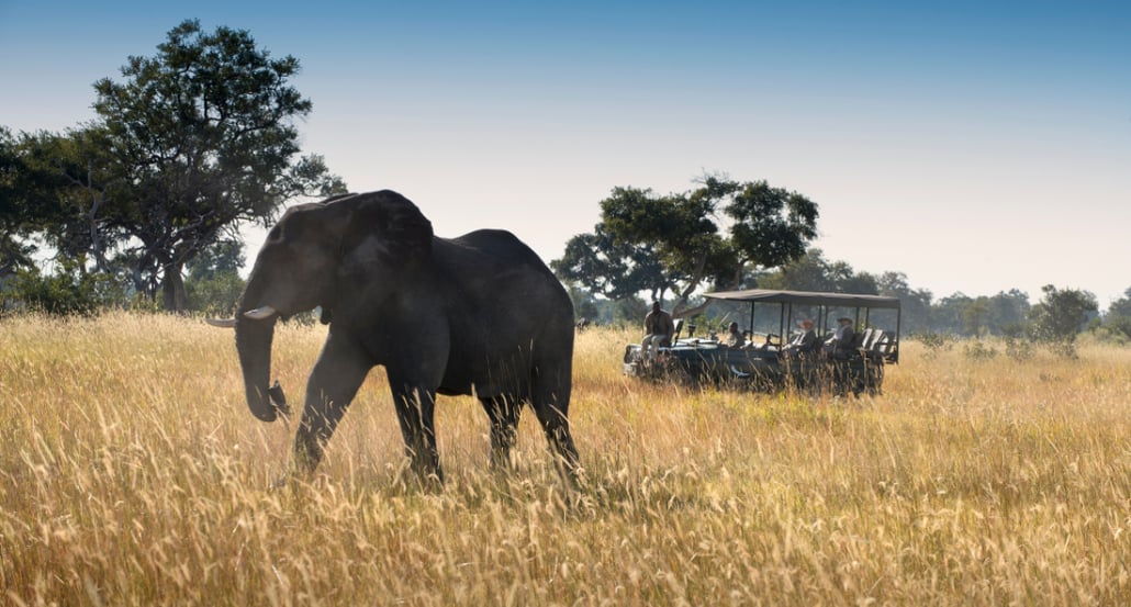 1032x554 &Beyond Xaranna Okavango Delta CampExclusive tours 3