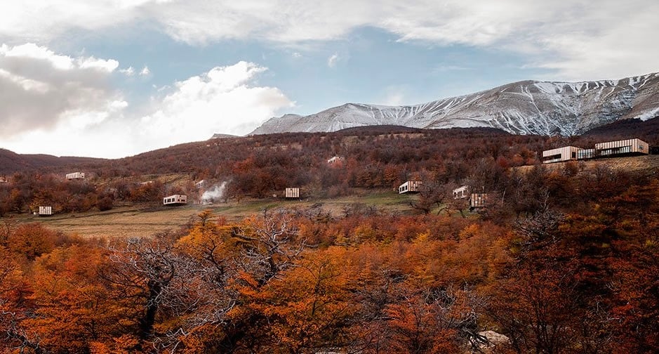 1032x554 Awasi Patagonia – Relais & Chateaux bird_background-1