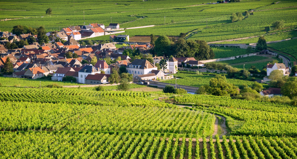 1032x554 Cesta za vínem do Burgundska s Ecclusive Tours shutterstock_266023004