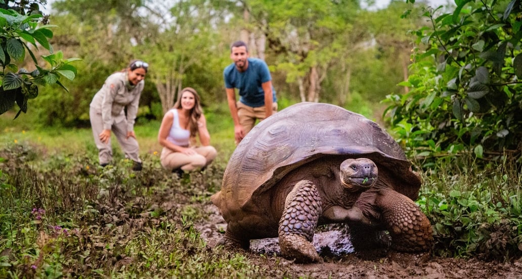 1032x554 Finch Bay Galapagos Hotel, Galapágy galapagos-manzanillo-giant-tortoise