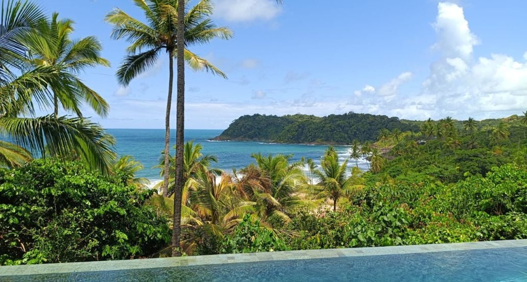 palmy, moře, bazén