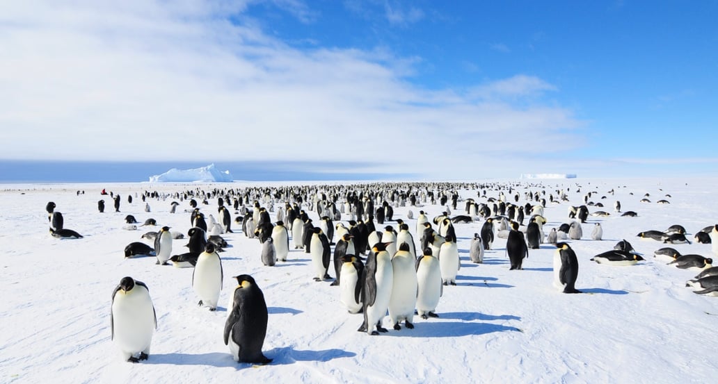 1032x554 Jihoafrická republika a Antarktida ve 14 dnech | Exclusive Tours 4.–8. den Antarktida ©WhiteDesertAntarctica00068-1