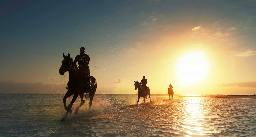 1032x554 LUX* Belle Mare lbm-beach-horses