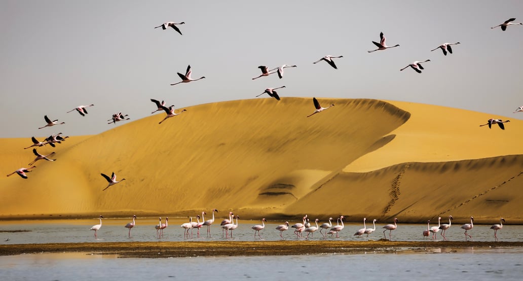 1032x554 Namibie shutterstock_505969534