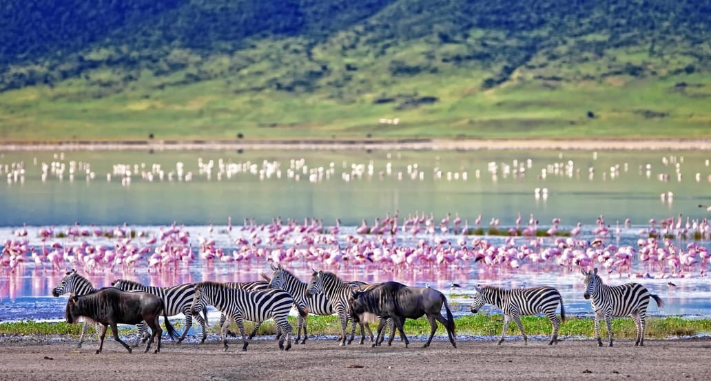 1032x554 Nejkrásnější místa Tanzanie shutterstock_212602420-1