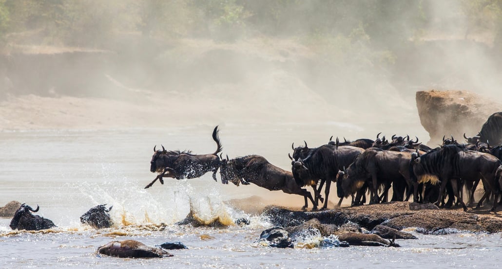 1032x554 Nejkrásnější místa Tanzanie shutterstock_399837775-1