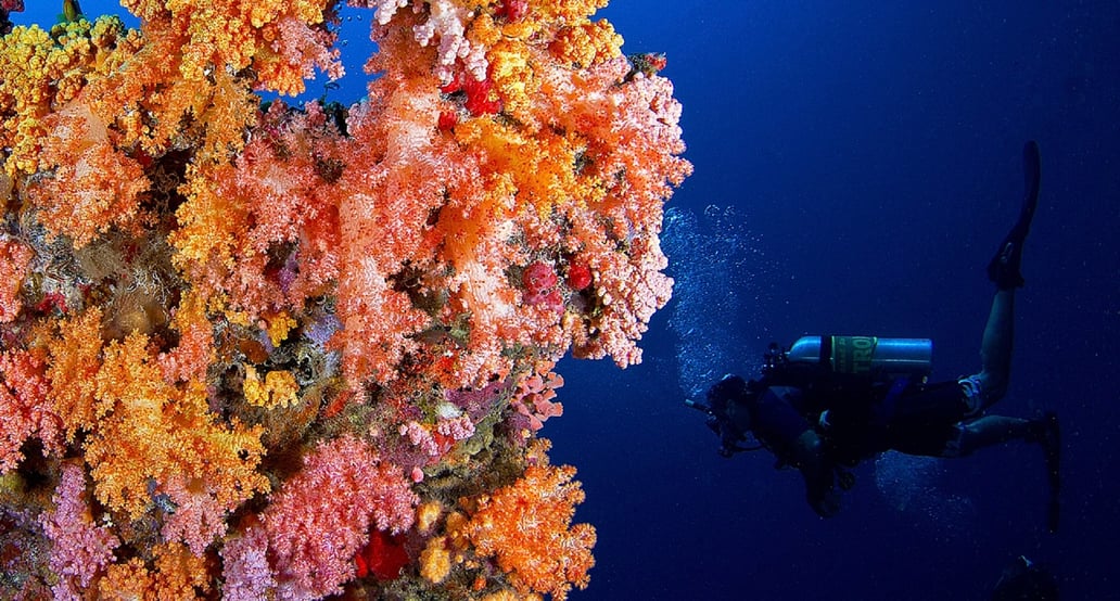 1032x554 Niyama Private Islands Maldives niyama_maldives_diving_1_1920x1037