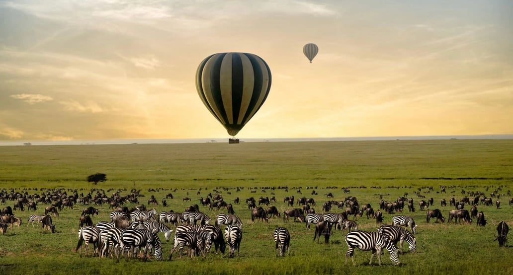 1032x554 One Nature Nyaruswiga ONH-Balloon-Safari-3
