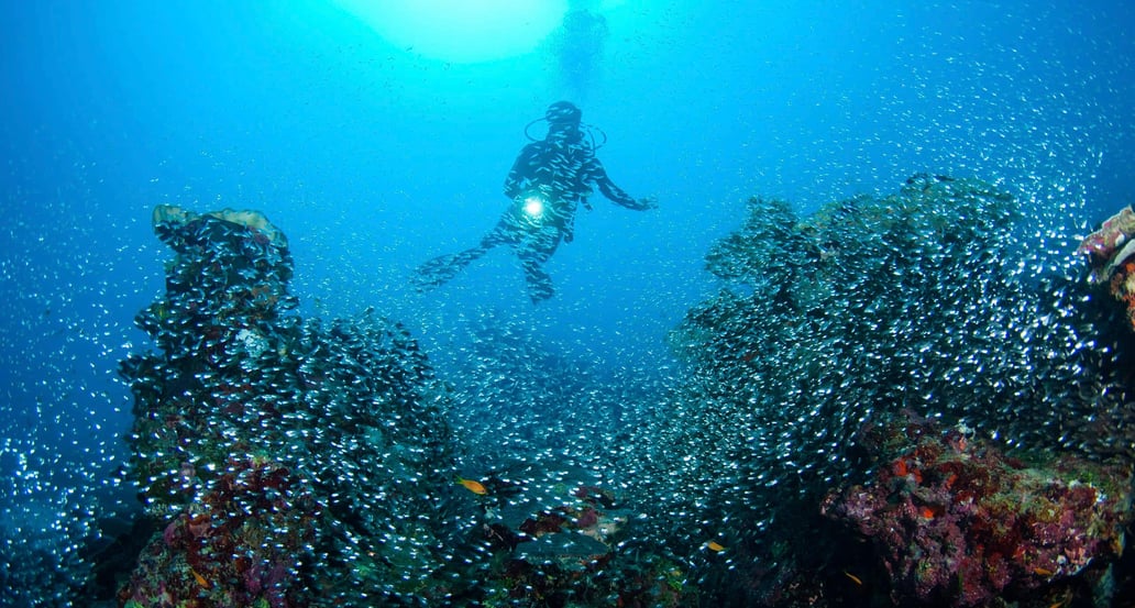 1032x554 Park Hyatt Maldives Hadahaa Park-Hyatt-Maldives-Hadahaa-P076-Scuba-Diving.16x9