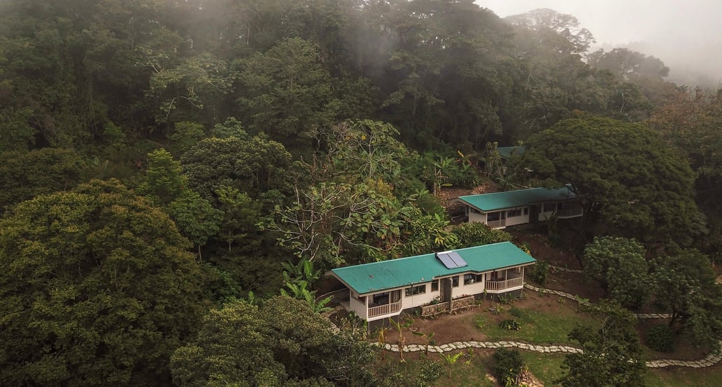 1032x554 Senda Monteverde 26-At-the-Foot-of-the-Cloud-Forest
