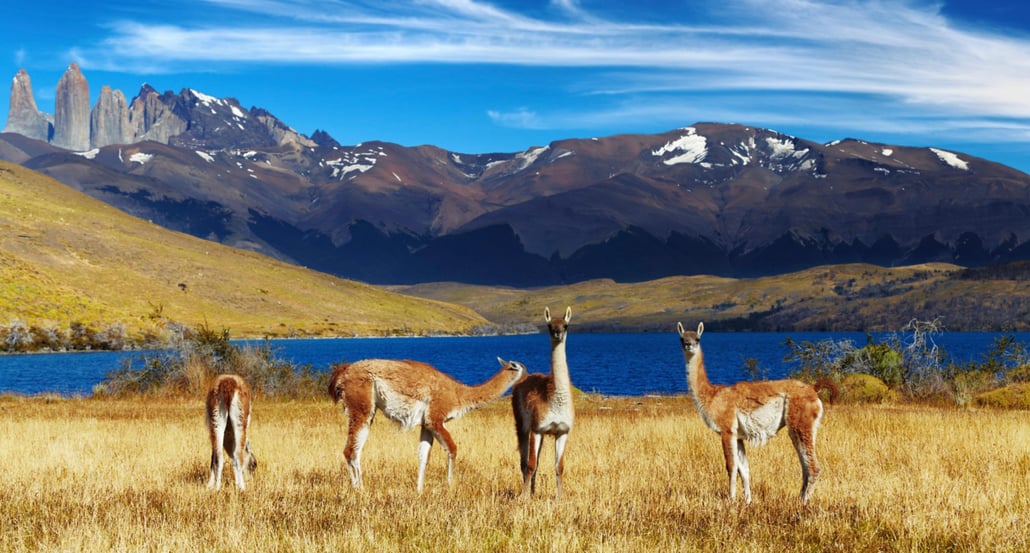 1032x554 To nejlepší z Patagonie 3 shutterstock_102547427