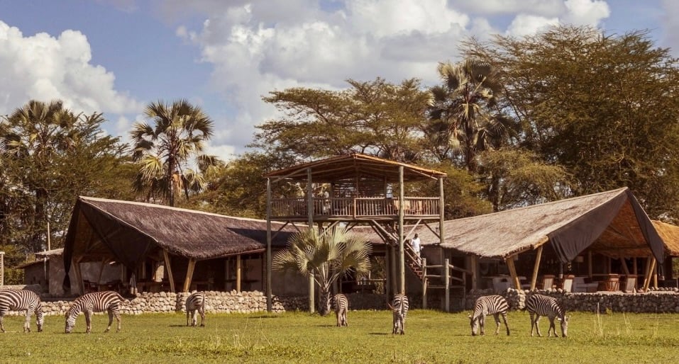 1032x554 Vzpomínka na Tanzanii ccl-main-lodge_2